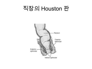 직장의 Houston 판

 