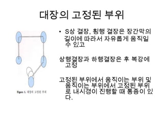 대장의 고정된 부위
• S상 결장, 횡행 결장은 장간막의
길이에 따라서 자유롭게 움직일
수 있고
상행결장과 하행결장은 후 복강에
고정
고정된 부위에서 움직이는 부위 및
움직이는 부위에서 고정된 부위
로 내시경이 진행할 때 통증이 있
다.

 