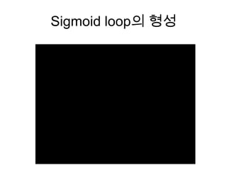 Sigmoid loop의 형성

 