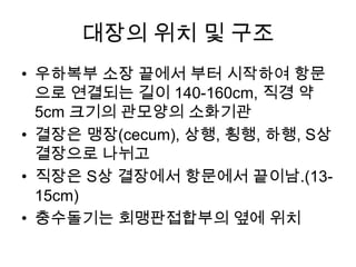 대장의 위치 및 구조
• 우하복부 소장 끝에서 부터 시작하여 항문
으로 연결되는 길이 140-160cm, 직경 약
5cm 크기의 관모양의 소화기관
• 결장은 맹장(cecum), 상행, 횡행, 하행, S상
결장으로 나뉘고
• 직장은 S상 결장에서 항문에서 끝이남.(1315cm)
• 충수돌기는 회맹판접합부의 옆에 위치

 