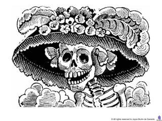 © All rights reserved to Joyce Bruhn de Garavito
 