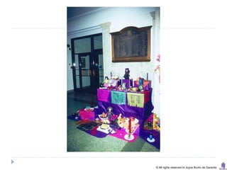 © All rights reserved to Joyce Bruhn de Garavito
 