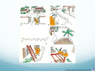 © All rights reserved to Joyce Bruhn de Garavito
 