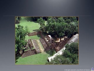 © All rights reserved to Joyce Bruhn de Garavito
 