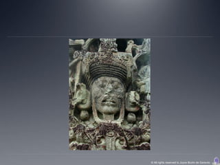 © All rights reserved to Joyce Bruhn de Garavito
 