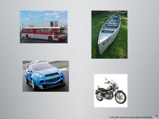 © All rights reserved to Joyce Bruhn de Garavito
 