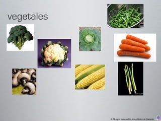 © All rights reserved to Joyce Bruhn de Garavito
 