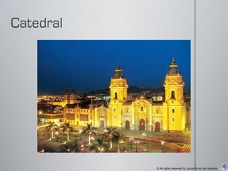 © All rights reserved to Joyce Bruhn de Garavito
 