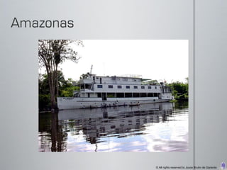 © All rights reserved to Joyce Bruhn de Garavito
 