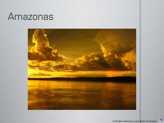 © All rights reserved to Joyce Bruhn de Garavito
 