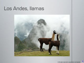 © All rights reserved to Joyce Bruhn de Garavito
 