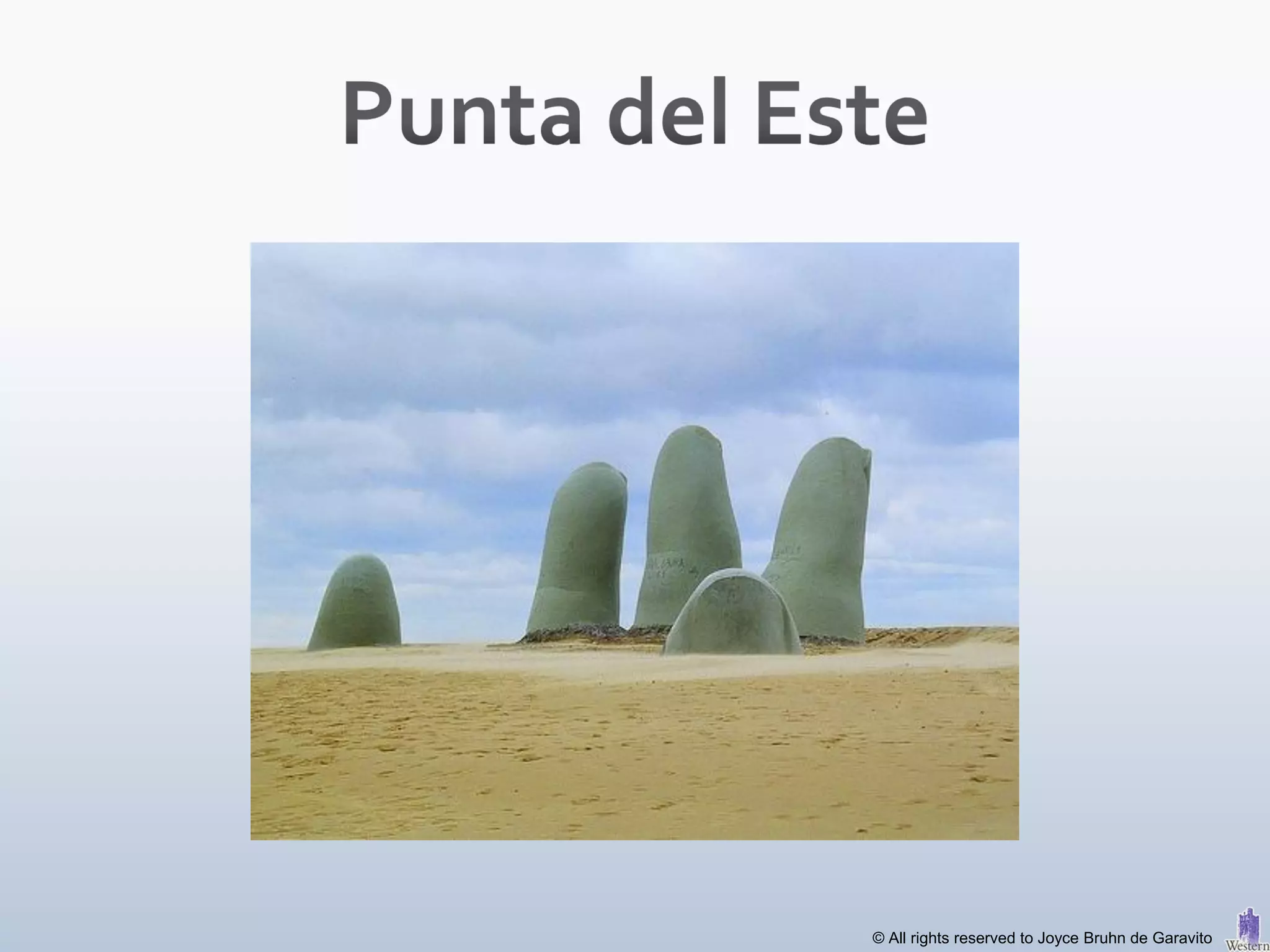 © All rights reserved to Joyce Bruhn de Garavito
 