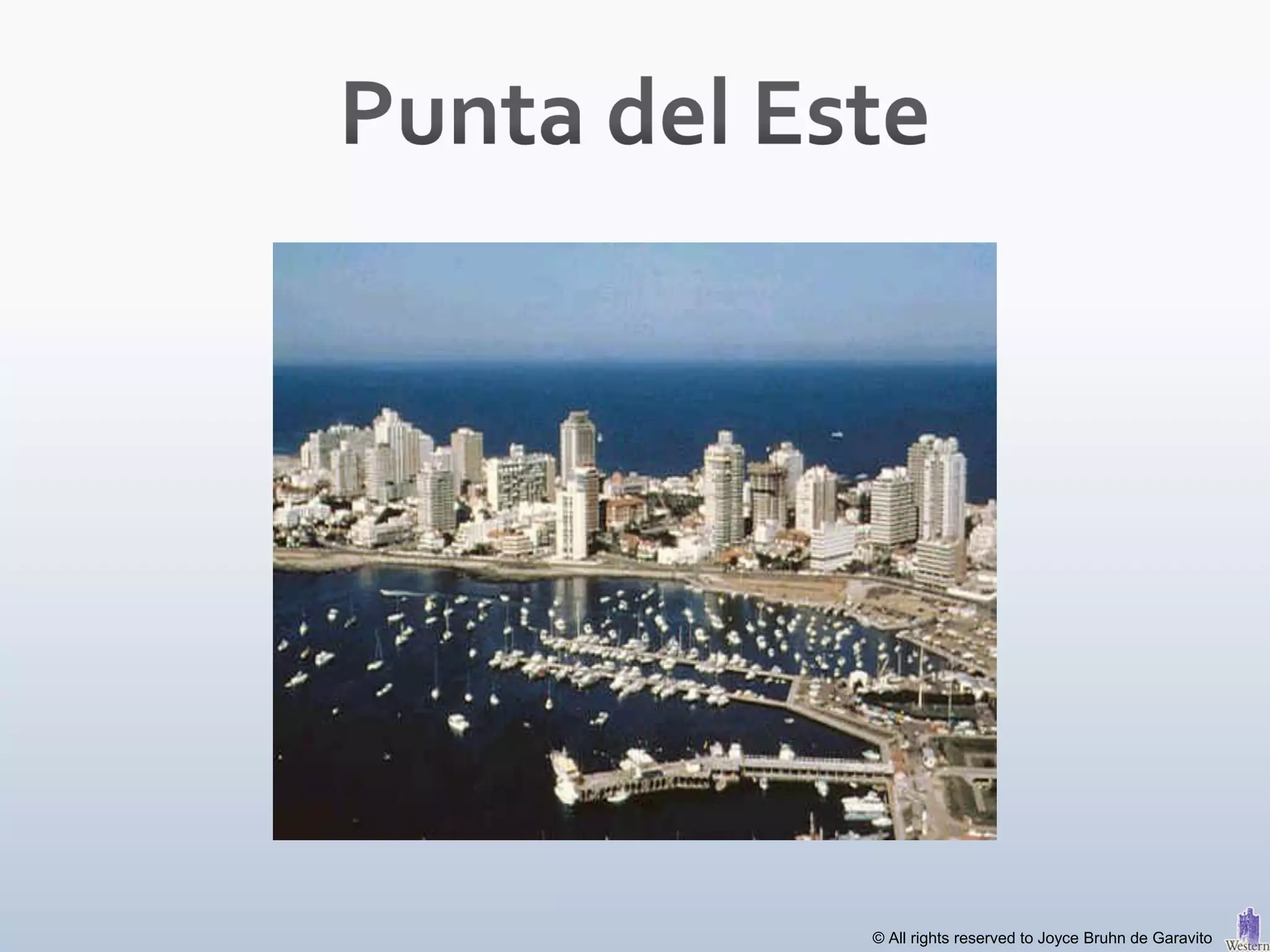 © All rights reserved to Joyce Bruhn de Garavito
 