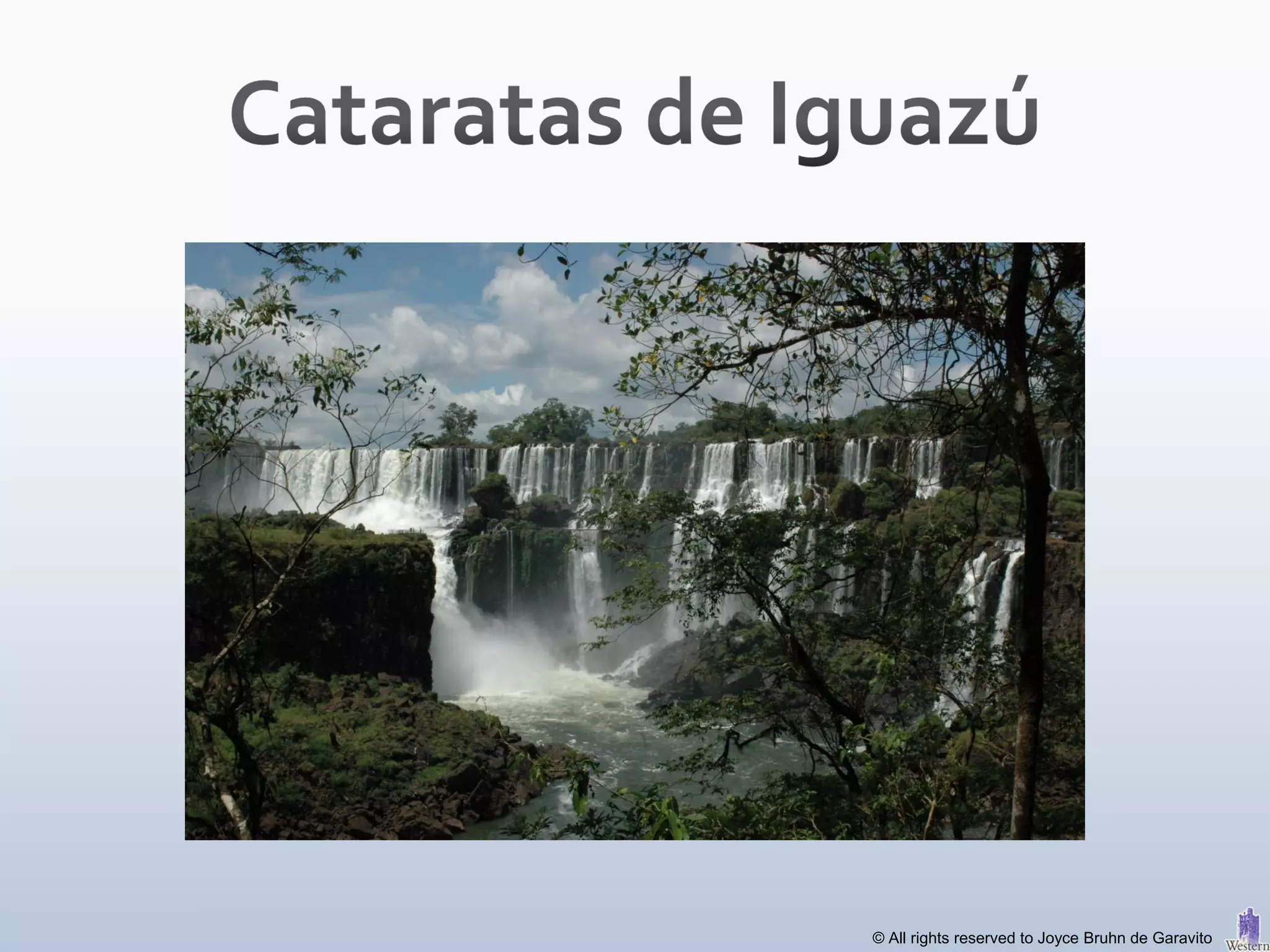 © All rights reserved to Joyce Bruhn de Garavito
 