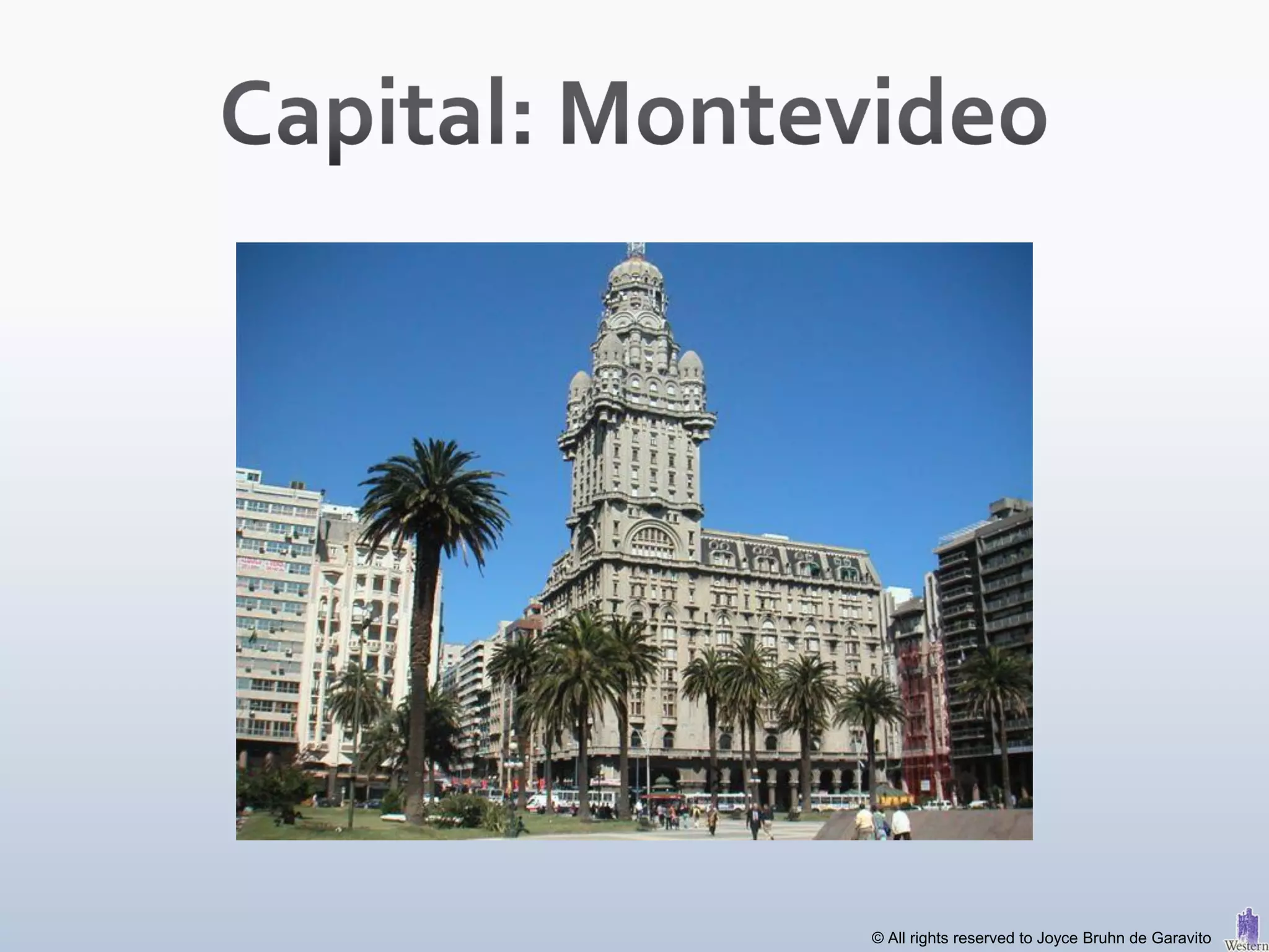 © All rights reserved to Joyce Bruhn de Garavito
 