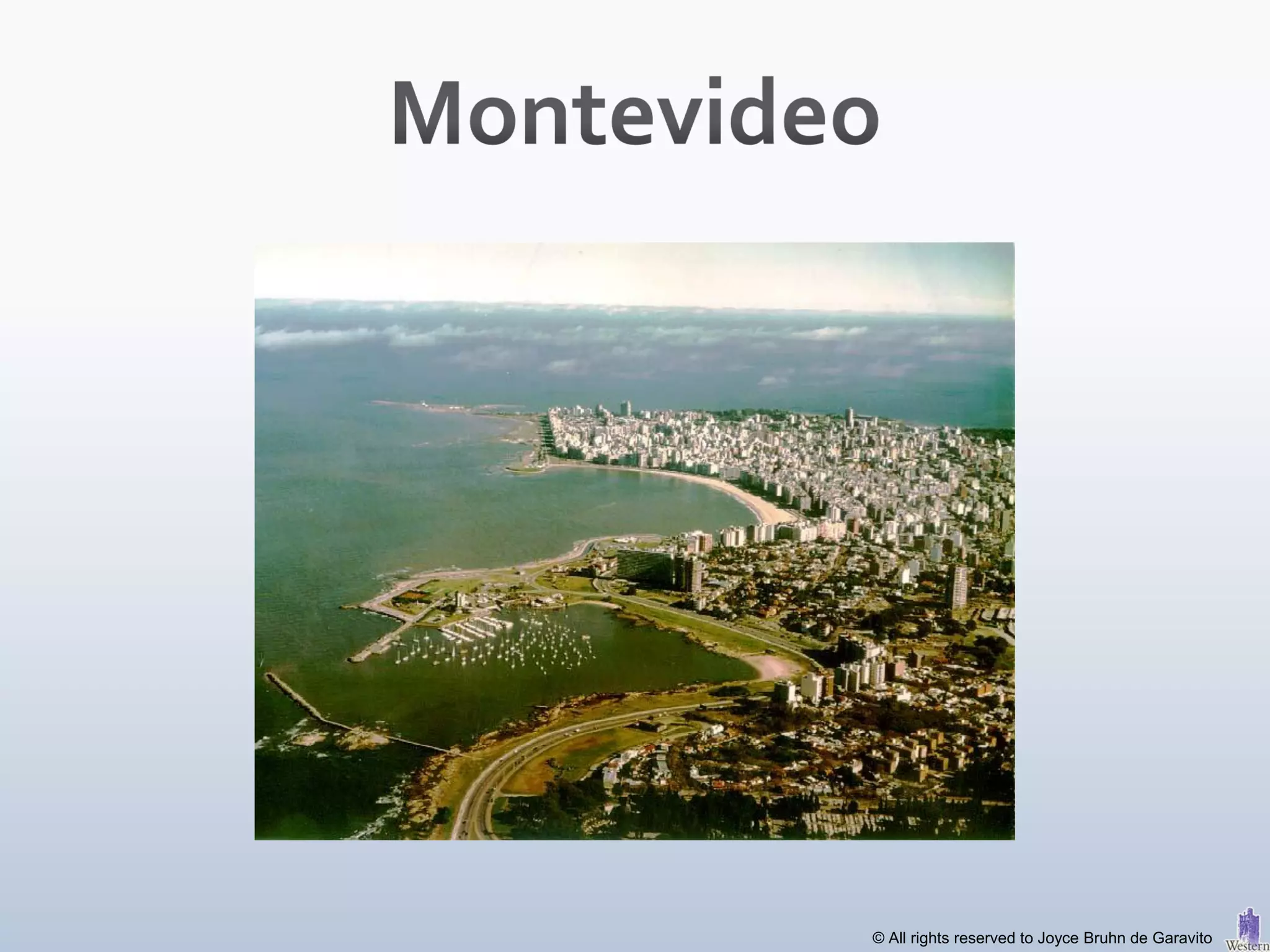 © All rights reserved to Joyce Bruhn de Garavito
 