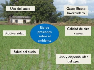 Uso y disponibilidad
del agua
Calidad de aire
y agua
Salud del suelo
Biodiversidad
Uso del suelo Gases Efecto
Invernadero
...