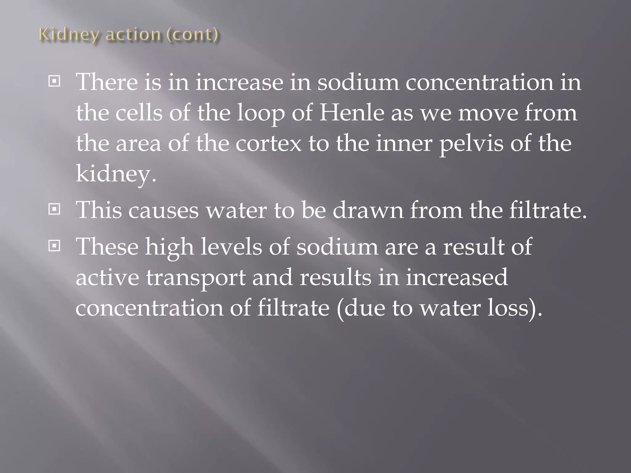 There is in increase in sodium concentration in the cells of the loop of Henle as we move from the area of the cortex to the inner pelvis of the kidney. This causes water to be drawn from the filtrate.  These high levels of sodium are a result of active transport and results in increased concentration of filtrate (due to water loss). 