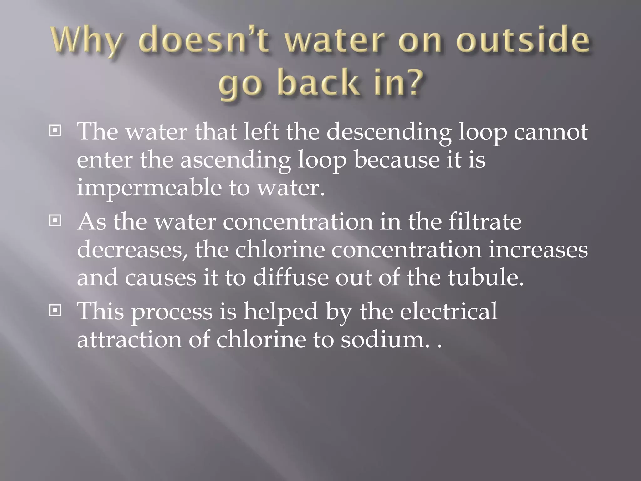 The water that left the descending loop cannot enter the ascending loop because it is impermeable to water.  As the water concentration in the filtrate decreases, the chlorine concentration increases and causes it to diffuse out of the tubule.  This process is helped by the electrical attraction of chlorine to sodium. . 