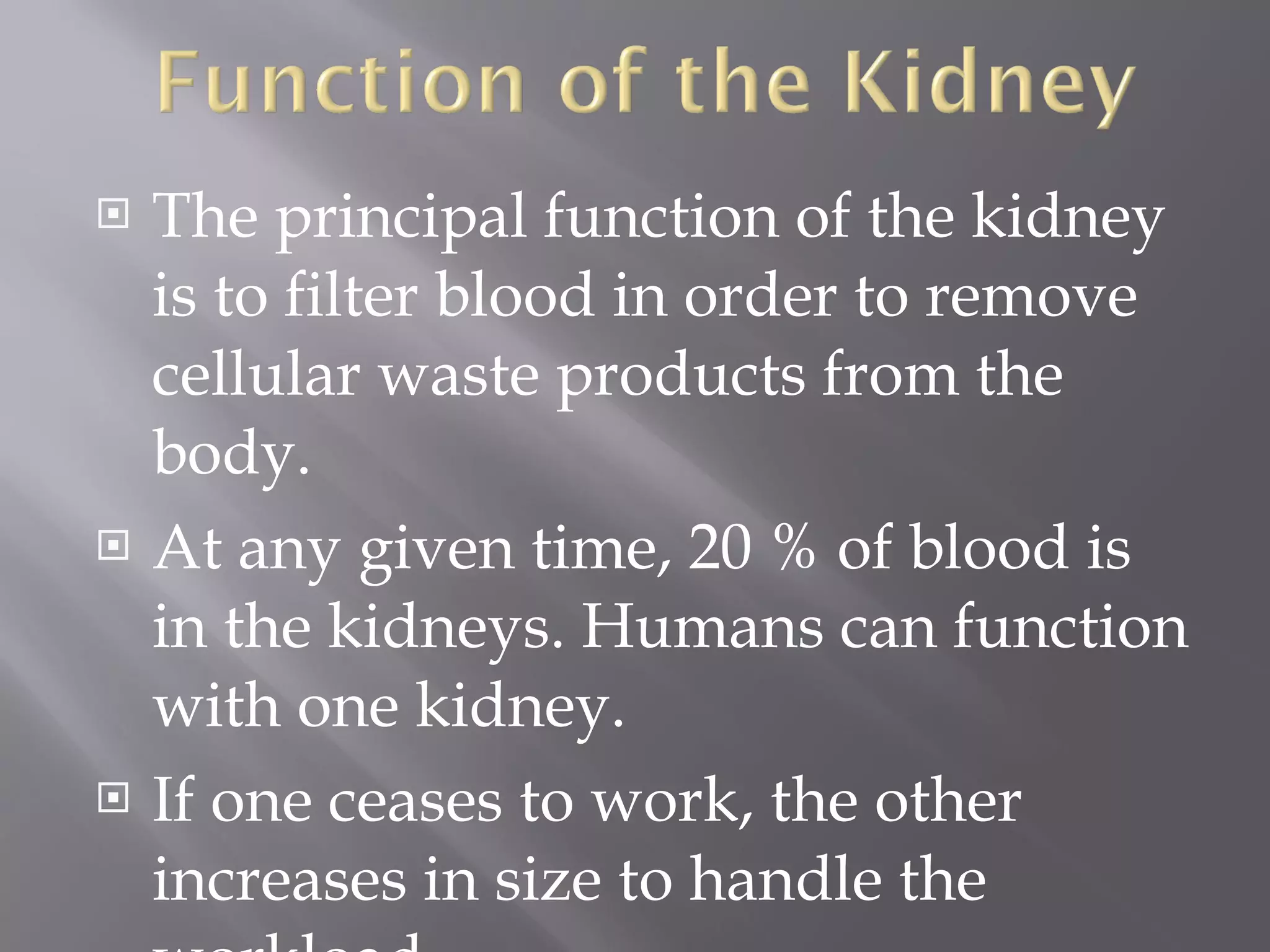 The principal function of the kidney is to filter blood in order to remove cellular waste products from the body.  At any given time, 20 % of blood is in the kidneys. Humans can function with one kidney.  If one ceases to work, the other increases in size to handle the workload.  