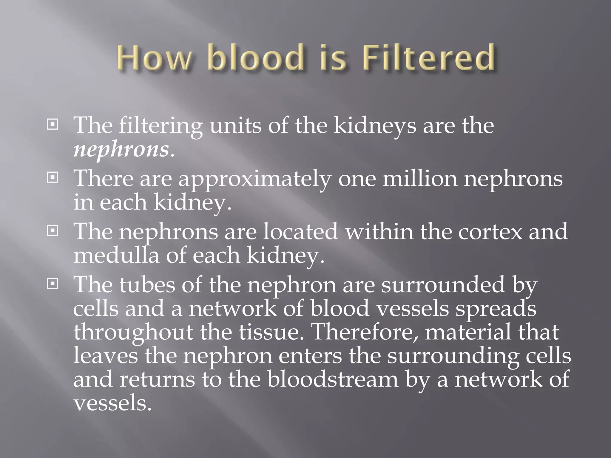 The filtering units of the kidneys are the  nephrons .  There are approximately one million nephrons in each kidney.  The nephrons are located within the cortex and medulla of each kidney.  The tubes of the nephron are surrounded by cells and a network of blood vessels spreads throughout the tissue. Therefore, material that leaves the nephron enters the surrounding cells and returns to the bloodstream by a network of vessels.  