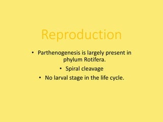 22011514-086 zoo-201 ppt.pptx for helping in exams | PPTX
