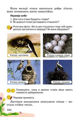 104
Коли молоді птахи навчаться добре літати,
вони починають жити самостійно.
Перевір себе
1.	Для чого птахи будують гнізда?
2.	Як дорослі птахи доглядають пташенят?
Розглянь фото. Які із цих пташиних гнізд тобі дово-
дилося зустрічати в природі? Як вони збудовані?
Поміркуйте, чому в деяких птахів яйця мають
плямисте­забарвлення.
Перевір прикмету.
Ластівки заходилися лаштувати гнізда – на-
стало стійке тепло.
Гніздо ластівки Гніздо славки сірої
Гніздо лелекиГніздо ремеза
 