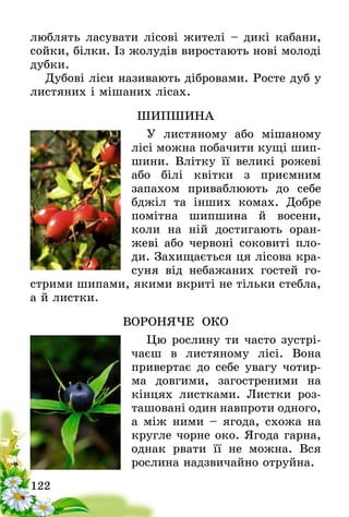 122
люблять ласувати лісові жителі – дикі кабани,
сойки, білки. Із жолудів виростають нові молоді
дубки.
Дубові ліси називають дібровами. Росте дуб у
листяних і мішаних лісах.
ШИПШИНА
У листяному або мішаному
лісі можна побачити кущі шип-
шини. Влітку її великі рожеві
або білі квітки з приємним
запа­хом приваблюють до себе
бджіл та інших комах. Добре
помітна шипшина й восени,
коли на ній достигають оран-
жеві або червоні соковиті пло-
ди. Захищається ця лісова кра-
суня від небажаних гостей го-
стрими шипами, якими вкриті не тільки стебла,
а й листки.
ВОРОНЯЧЕ ОКО
Цю рослину ти часто зустрі-
чаєш в листяному лісі. Вона
привертає до себе увагу чотир-
ма довгими, загостреними на
кінцях листками. Листки роз-
ташовані один навпроти одного­,
а між ними – ягода, схожа на
кругле чорне око. Ягода гарна,
однак рвати її не можна. Вся
рослина надзвичайно отруйна.
 