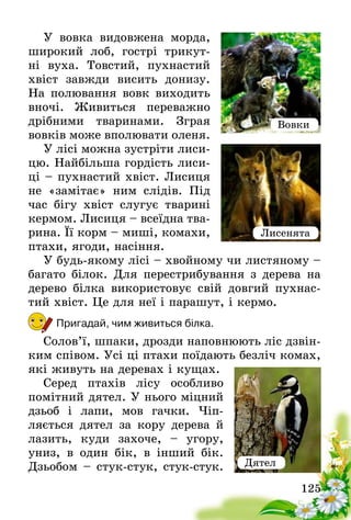 125
У вовка видовжена морда,
широкий лоб, гострі трикут-
ні­  вуха. Товстий, пухнастий
хвіст завжди висить донизу.
На полювання вовк виходить
вночі. Живиться переважно
дрібними тваринами. Зграя
вовків може вполювати оленя.
У лісі можна зустріти лиси-
цю. Найбільша гордість лиси-
ці – пухнастий хвіст. Лисиця
не «замітає» ним слідів. Під
час бігу хвіст слугує тварині
кермом. Лисиця – всеїдна тва-
рина. Її корм – миші, комахи,
птахи, ягоди, насіння.
У будь-якому лісі – хвойному чи листяному –
багато білок. Для перестрибування з дерева на
дерево білка використовує свій довгий пухнас-
тий хвіст. Це для неї і парашут, і кермо.
Пригадай, чим живиться білка.
Солов’ї, шпаки, дрозди наповнюють ліс дзвін-
ким співом. Усі ці птахи поїдають безліч комах,
які живуть на деревах і кущах.
Серед птахів лісу особливо
поміт­ний дятел. У нього міцний
дзьоб і лапи, мов гачки. Чіп­
ляється дятел за кору дерева й
лазить, куди захоче, – угору,
униз, в один бік, в інший бік.
Дзьобом – стук-стук, стук-стук.
Вовки
Лисенята
Дятел
 