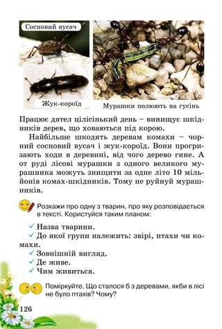 126
Працює дятел цілісінький день – винищує шкід-
ників дерев, що ховаються під корою.
Найбільше шкодять деревам комахи – чор-
ний сосновий вусач і жук-короїд. Вони прогри-
зають ходи в деревині, від чого дерево гине. А
от руді лісові мурашки з одного великого му-
рашника можуть знищити за одне літо 10 міль-
йонів комах-шкідників. Тому не руйнуй мураш-
ників.
Розкажи про одну з тварин, про яку розповідається
в тексті. Користуйся таким планом:
ü	Назва тварини.
ü	До якої групи належить: звірі, птахи чи ко-
махи.
ü	Зовнішній вигляд.
ü	Де живе.
ü	Чим живиться.
Поміркуйте. Що сталося б з деревами, якби в лісі
не було птахів? Чому?
Сосновий вусач
Жук-короїд Мурашки полюють на гусінь
 