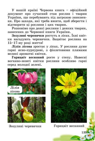 139
У нашій країні Червона книга – офіційний
документ про сучасний стан рослин і тварин
України, що перебувають під загрозою зникнен-
ня. Про заходи, які треба вжити, щоб зберегти і
відтворити ці рослини і цих тварин.
Розповімо про деякі рослини і деяких тварин,
занесених до Червоної книги України.
Зозулині черевички ростуть в лісах. Їхні квіт-
ки нагадують черевички. Зацвітає рослина на
15–17-му році життя!
Лілія лісова зростає у лісах. У рослини дуже
гарні ясно-пурпурові, з фіолетовими плямами
великі ароматні квітки.
Горицвіт весняний росте у степу. Навесні
вогняно-жовті квітки рослини особливо гарні
серед­ молодої зелені.
Лілія
лісова
Зозулині черевички Горицвіт весняний
 