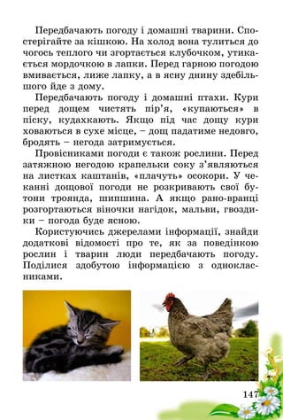 147
Передбачають погоду і домашні тварини. Спо-
стерігайте за кішкою. На холод вона тулиться до
чогось теплого чи згортається клубочком, утика-
ється мордочкою в лапки. Перед гарною погодою
вмивається, лиже лапку, а в ясну днину здебіль-
шого йде з дому.
Передбачають погоду і домашні птахи. Кури
перед дощем чистять пір’я, «купаються» в
піску, кудахкають. Якщо під час дощу кури
хова­ються в сухе місце, – дощ падатиме недовго,
бродять – негода затримується.
Провісниками погоди є також рослини. Перед
затяжною негодою крапельки соку з’являються
на листках каштанів, «плачуть» осокори. У че-
канні дощової погоди не розкривають свої бу­
тони троянда, шипшина. А якщо рано-вранці
розгортаються віночки нагідок, мальви, гвозди-
ки – погода буде ясною.
Користуючись джерелами інформації, знайди
додаткові відомості про те, як за поведінкою
рослин­  і тварин люди передбачають погоду.
Поділися­  здобутою інформацією з одноклас­
никами.
 