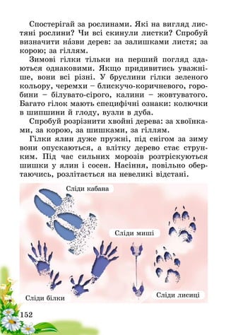 152
Спостерігай за рослинами. Які на вигляд лис-
тяні рослини? Чи всі скинули листки? Спробуй
визначити назви дерев: за залишками листя; за
корою; за гіллям.
Зимові гілки тільки на перший погляд зда-
ються однаковими. Якщо придивитись уважні-
ше, вони всі різні. У бруслини гілки зеленого
кольору, черемхи – блискучо-коричневого, горо-
бини – білувато-сірого, калини – жовтуватого.
Багато гілок мають специфічні ознаки: колючки
в шипшини й глоду, вузли в дуба.
Спробуй розрізнити хвойні дерева: за хвоїнка-
ми, за корою, за шишками, за гіллям.
Гілки ялин дуже пружні, під снігом за зиму
вони опускаються, а влітку дерево стає струн-
ким. Під час сильних морозів розтріскуються
шишки у ялин і сосен. Насіння, повільно обер-
таючись, розлітається на невеликі відстані.
Сліди миші
Сліди лисиці
Сліди кабана
Сліди білки
 