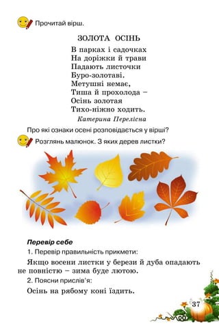 37
Прочитай вірш.
ЗОЛОТА ОСІНЬ
В парках і садочках
На доріжки й трави
Падають листочки
Буро-золотаві.
Метушні немає,
Тиша й прохолода –
Осінь золотая
Тихо-ніжно ходить.
Катерина Перелісна
Про які ознаки осені розповідається у вірші?
Розглянь малюнок. З яких дерев листки?
Перевір себе
1.	Перевір правильність прикмети:
Якщо восени листки у берези й дуба опадають
не повністю – зима буде лютою.
2.	Поясни прислів’я:
Осінь на рябому коні їздить.
 