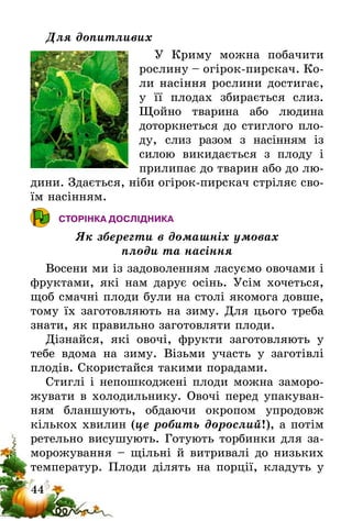 44
Для допитливих
У Криму можна побачити
рослину – огірок-пирс­кач. Ко­
ли насіння рослини достигає,
у її плодах збирається слиз.
Щой­но тварина або людина
доторк­неться до стиглого пло-
ду, слиз разом з насінням із
силою­  викидається з плоду і
прилипає до тварин або до лю-
дини. Здаєть­ся, ніби огірок-пир­скач стріляє сво-
їм насінням.
СТОРІНКА ДОСЛІДНИКА
Як зберегти в домашніх умовах
плоди та насіння
Восени ми із задоволенням ласуємо овочами і
фруктами, які нам дарує осінь. Усім хочеться,
щоб смачні плоди були на столі якомога довше,
тому їх заготовляють на зиму. Для цього треба
знати, як правильно заготовляти плоди.
Дізнайся, які овочі, фрукти заготовляють у
тебе вдома на зиму. Візьми участь у заготівлі
плодів. Скористайся такими порадами.
Стиглі і непошкоджені плоди можна заморо-
жувати в холодильнику. Овочі перед упакуван-
ням бланшують, обдаючи окропом упродовж
кількох хвилин (це робить дорослий!), а потім
ретельно висушують. Готують торбинки для за-
морожування – щільні й витривалі до низьких
температур. Плоди ділять на порції, кладуть у
 