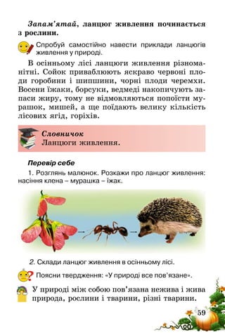 59
Запам’ятай, ланцюг живлення починається
з рослини.
Спробуй самостійно навести приклади ланцюгів
живлення у природі.
В осінньому лісі ланцюги живлення різнома-
нітні. Сойок приваблюють яскраво червоні пло-
ди горобини і шипшини, чорні плоди черемхи.
Восени їжаки, борсуки, ведмеді накопичують за-
паси жиру, тому не відмовляються попоїсти му-
рашок, мишей, а ще поїдають велику кількість
лісових ягід, горіхів.
Словничок
Ланцюги живлення.
Перевір себе
1. Розглянь малюнок. Розкажи про ланцюг живлення:
насіння клена – мурашка – їжак.
2. Склади ланцюг живлення в осінньому лісі.
Поясни твердження: «У природі все пов’язане».
У природі між собою пов’язана нежива і жива
природа, рослини і тварини, різні тварини.
?
 
