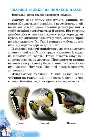 74
ТВАРИНИ ВЗИМКУ. ЯК ЗИМУЮТЬ ПТАХИ
Пригадай, яких птахів називають осілими.
Узимку мало корму для птахів. Синиці, по-
взики збираються у зграйки і перелітають з міс-
ця на місце в пошуках насіння різних рослин. У
такій зграйці зустрічається й дятел. Він гострим
дзьобом дістає личинки комах з-під кори дерев.
Буває, що личинки падають у сніг. Синиці сприт-
но підхоплюють їх. Так і мандрує табунець пта-
шок від одного дерева до іншого.
З далекої півночі прилітають до нас зимувати
сіренькі чечітки. У них груди малинові й черво-
на шапочка на голові. Птахи літають табунами,
спритно лазять по деревах. Причепиться пташка
на тонесеньку гілочку берези вниз головою і сма-
кує насіння! Чит-чит! Чит-чит! – перемовляють-
ся чечітки.
З’являються омелюхи. У них чудові великі
чубчики на голові, кінчик хвоста жовтий із чер-
воною облямівкою, і на крилах серед жовтих пі­
     Дятел                 Синиці                    Повзик
 