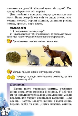 80
лягають на деякій відстані одна від одної. Так
краще вберегтися від ворога.
Дикі кабани в пошуках корму рухаються ста-
дами. Вони розгрібають сніг та опале листя, зна-
ходять жолуді, горіхи ліщини, личинки різних
комах, гризуть кору дерев.
Перевір себе
1.	Як переживають зиму звірі?
2.	Чи доводилося тобі спостерігати за звірами у зимо-
вому лісі, парку? Розкажи про свої спостереження.
За малюнком поясни ланцюг живлення:
Склади ланцюг живлення у зимовому лісі.
Поміркуйте, сліди яких звірів не можна зустріти в
зимовому лісі.
Прочитай
Важко жити тваринам узимку, особливо
якщо зима дуже морозна й сніжна. У цей час
їм як ніколи потрібна допомога людини. Люди
роблять для тварин спеціальні годівниці. Для
оленів і козуль кладуть віники з гілок липи,
берези, верби та сіно. Диких кабанів, зайців,
 