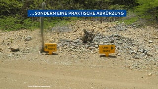 Foto: @BennoLoewenberg
  … SONDERN EINE PRAKTISCHE ABKÜRZUNG 
 