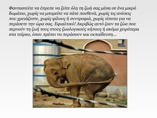 Φανταστείτε να έπρεπε να ζείτε όλη τη ζωή σας μέσα σε ένα μικρό
δωμάτιο, χωρίς να μπορείτε να πάτε πουθενά, χωρίς τις ανέσεις
που χρειάζεστε, χωρίς φίλους ή συντροφιά, χωρίς τίποτα για να
περάσετε την ώρα σας. Εφιαλτικό! Ακριβώς αυτό ζουν τα ζώα που
περνούν τη ζωή τους στους ζωολογικούς κήπους ή ακόμα χειρότερα
στα τσίρκο, όπου πρέπει να περάσουν και εκπαίδευση...
 