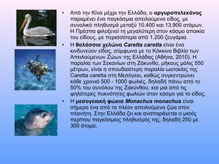 • Από την Κίνα μέχρι την Ελλάδα, ο αργυροπελεκάνος
παραμένει ένα παγκόσμια απειλούμενο είδος, με
συνολικό πληθυσμό μεταξύ 10.400 και 13.900 ατόμων.
H Πρέσπα φιλοξενεί τη μεγαλύτερη στον κόσμο αποικία
του είδους, με περισσότερα από 1.200 ζευγάρια.
• Η θαλάσσια χελώνα Caretta caretta είναι ένα
κινδυνεύον είδος, σύμφωνα με το Κόκκινο Βιβλίο των
Απειλούμενων Ζώων της Ελλάδας (Αθήνα, 2010). Η
παραλία των Σεκανίων στη Ζάκυνθο, μήκους μόλις 550
μέτρων, είναι η σπουδαιότερη παραλία ωοτοκίας της
Caretta caretta στη Μεσόγειο, καθώς συγκεντρώνει
κάθε χρονιά 500 - 1000 φωλιές, δηλαδή πάνω από το
50% του συνόλου της Ζακύνθου, και μια από τις
ψηλότερες πυκνότητες φωλιών στον κόσμο για το είδος.
• Η μεσογειακή φώκια Monachus monachus είναι
σήμερα ένα από τα πλέον απειλούμενα ζώα στον
πλανήτη. Στην Ελλάδα ζει και αναπαράγεται ο μισός
περίπου παγκόσμιος πληθυσμός της, δηλαδή 250 με
300 άτομα.
 