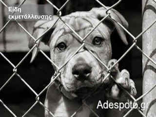 Είδη
εκμετάλλευσης
 