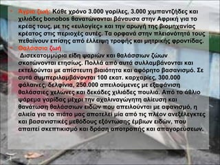 • Άγρια ζωή: Κάθε χρόνο 3.000 γορίλες, 3.000 χιμπαντζήδες και
χιλιάδες bonobos θανατώνονται βάναυσα στην Αφρική για το
κρέας τους, με τις «ευλογίες» και την αρωγή της βιομηχανίας
κρέατος στις περιοχές αυτές. Τα ορφανά στην πλειονότητά τους
πεθαίνουν επίσης από έλλειψη τροφής και μητρικής φροντίδας.
• Θαλάσσια ζωή
Δισεκατομμύρια είδη ψαριών και θαλάσσιων ζώων
σκοτώνονται ετησίως. Πολλά από αυτά συλλαμβάνονται και
εκτελούνται με απίστευτη βιαιότητα και αφόρητο βασανισμό. Σε
αυτά συμπεριλαμβάνονται 100 εκατ. καρχαρίες, 300.000
φάλαινες, δελφίνια, 250.000 απειλούμενες με εξαφάνιση
θαλάσσιες χελώνες και δεκάδες χιλιάδες πουλιά. Από το άθλιο
ψάρεμα γαρίδας μέχρι την αχαλιναγώγητη αλίευση και
θανάτωση θαλάσσιων ειδών που απειλούνται με αφανισμό, η
αλιεία για το πιάτο μας αποτελεί μία από τις πλέον ανεξέλεγκτες
και βασανιστικές μεθόδους εξόντωσης έμβιων ειδών, που
απαιτεί σκεπτικισμό και δράση αποτροπής και απαγορεύσεων.
 