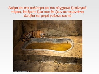 Ακόμα και στα καλύτερα και πιο σύγχρονα ζωολογικά
πάρκα, θα βρείτε ζώα που θα ζουν σε τσιμεντένια
κλουβιά και μικρά γυάλινα κουτιά
 