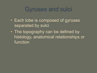 Gyruses and sulci
• Each lobe is composed of gyruses
separated by sulci
• The topography can be defined by
histology, anatomical relationships or
function
 