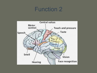 Function 2
 