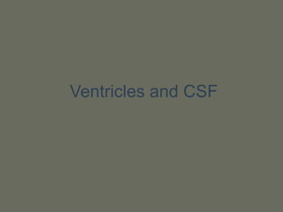 Ventricles and CSF
 