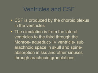 Ventricles and CSF
• CSF is produced by the choroid plexus
in the ventricles
• The circulation is from the lateral
ventricles to the third through the
Monroe- aqueduct- IV ventricle- sub
arachnoid space in skull and spine-
absorption in sss and other sinuses
through arachnoid granulations
 