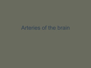 Arteries of the brain
 