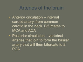 Arteries of the brain
• Anterior circulation – internal
carotid artery, from common
carotid in the neck. Bifurcates to
MCA and ACA
• Posterior circulation – vertebral
arteries that join to form the basilar
artery that will then bifurcate to 2
PCA
 